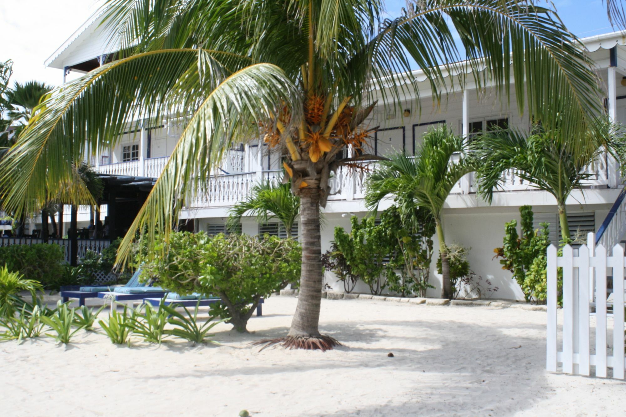 Holiday Hotel ซานเปโดร ภายนอก รูปภาพ