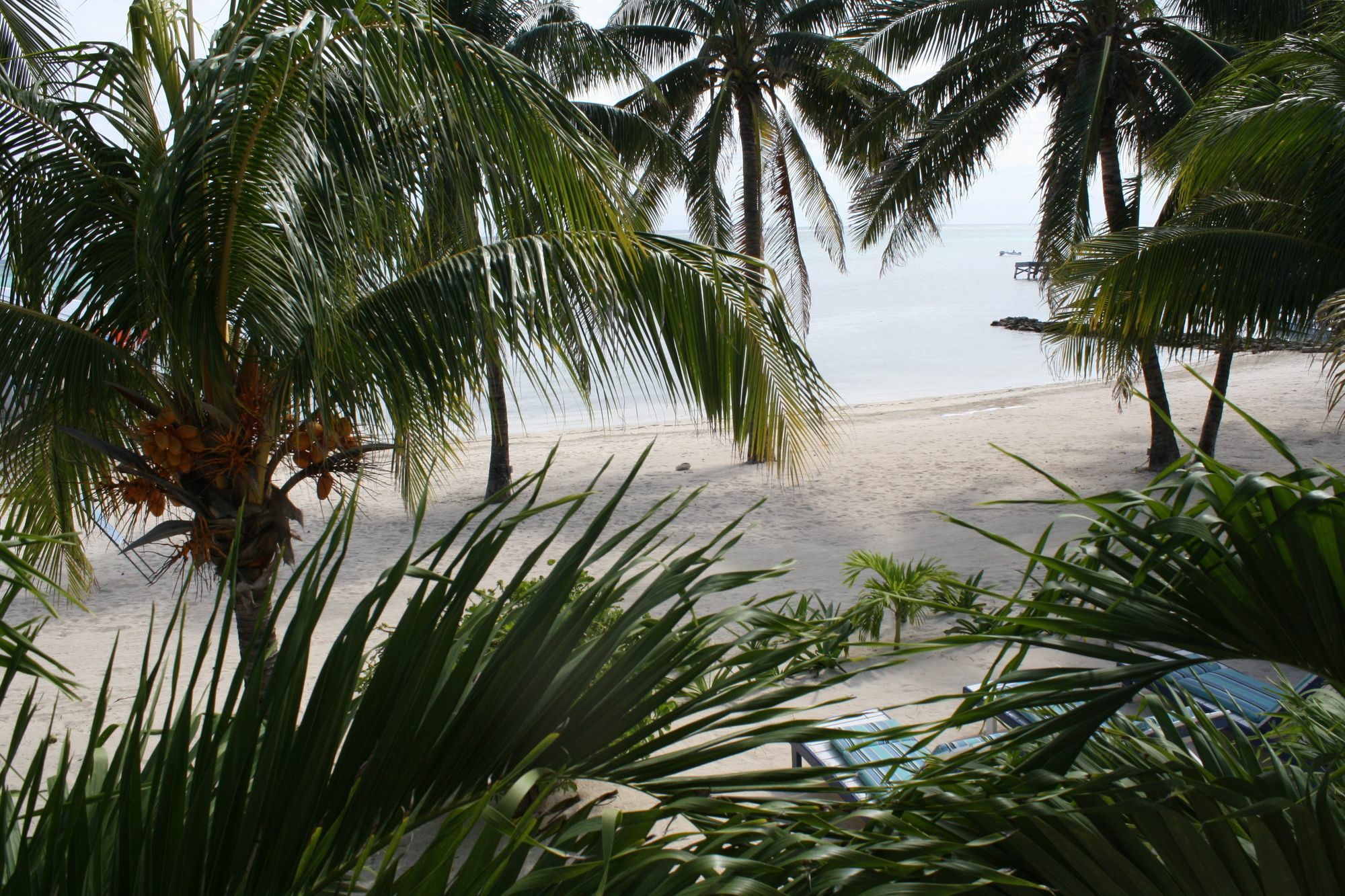 Holiday Hotel ซานเปโดร ภายนอก รูปภาพ